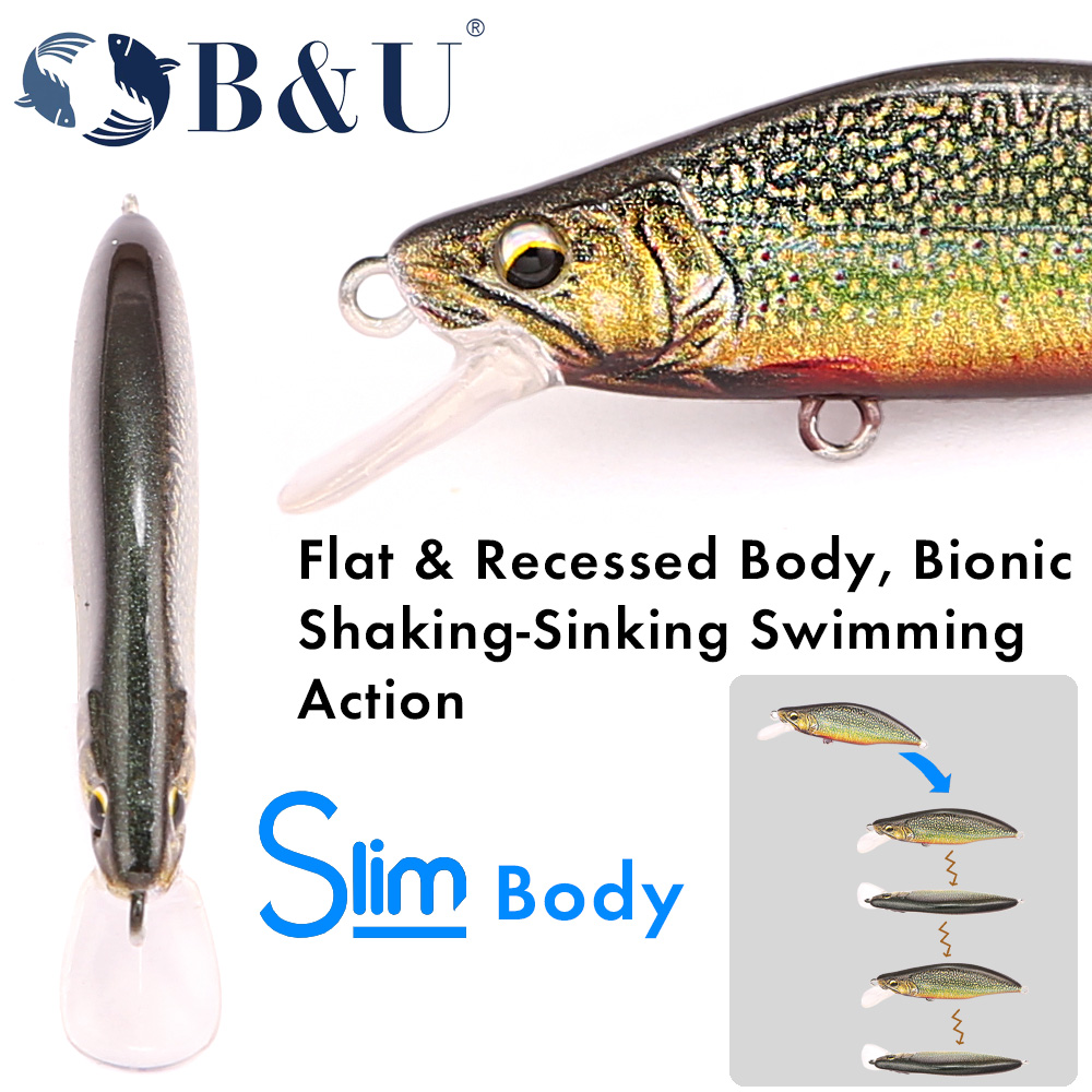 B&U Trout Pattern Hard Bait Si - đánh giá và giá Fishing Hook Assortment